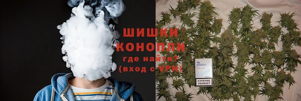 стафф Тольятти