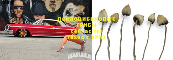 ешки Магадан