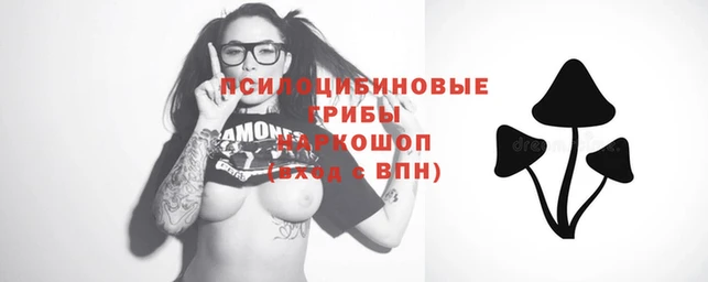 ешки Магадан